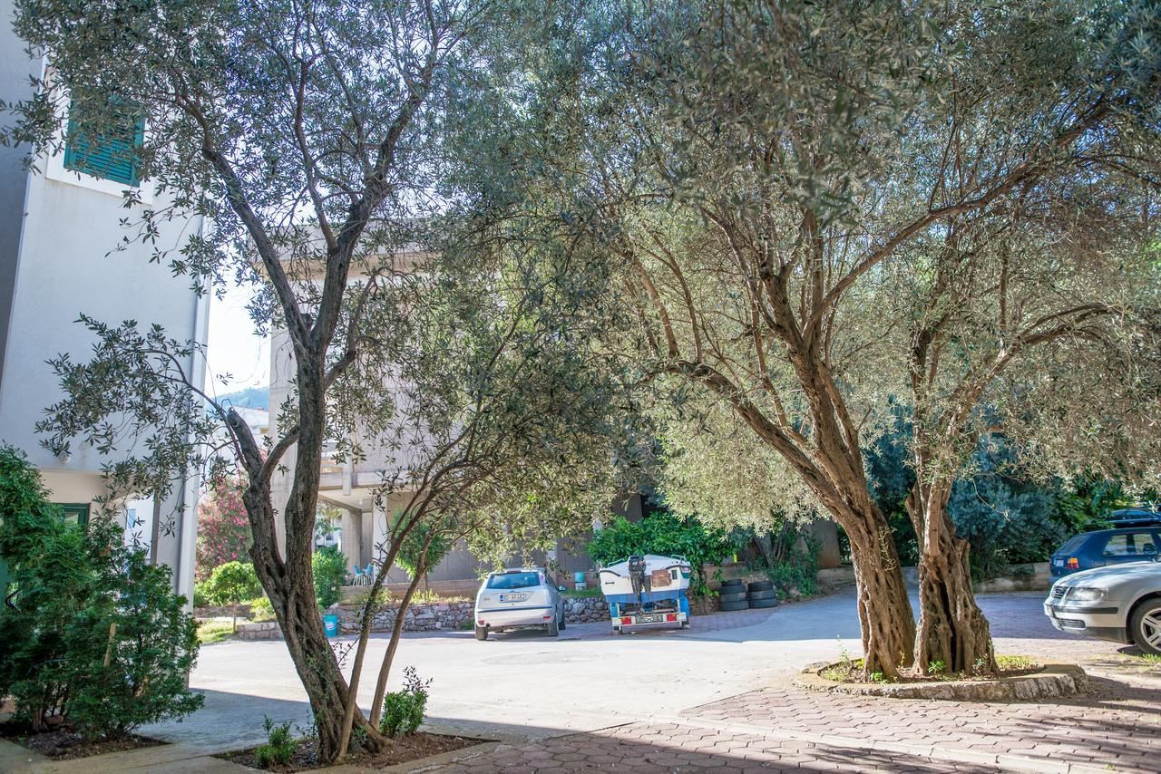 Apartman Zenta Petrovac Eksteriør billede